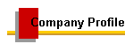 Company Profile